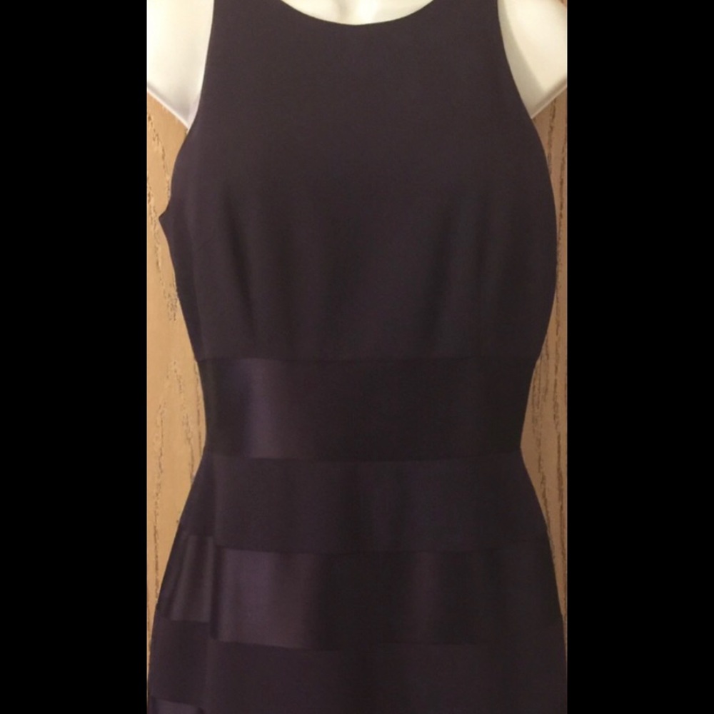 Plum Laundry Gorgeous above knee silky Dress 8